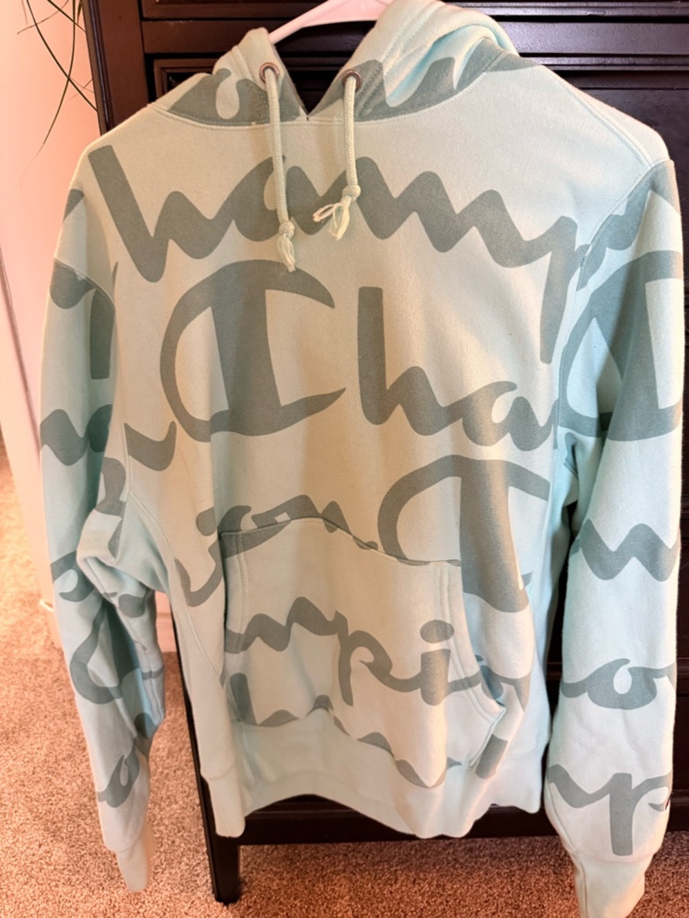 Champion Oversized Script Logo Crewneck Hoodie in Mint